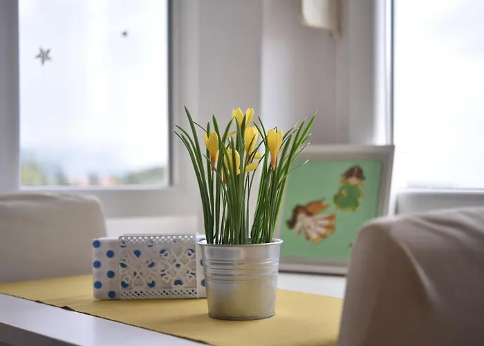 The Dream On Appartement *