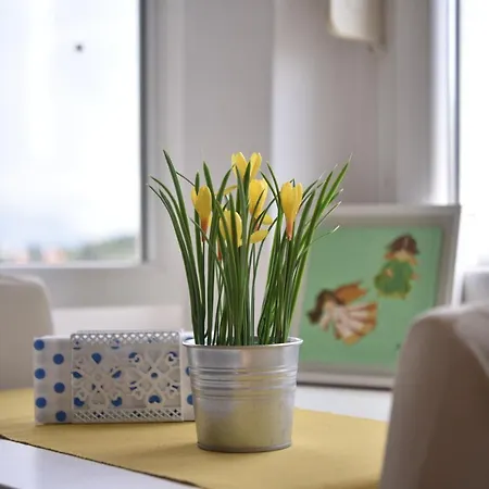 The Dream On Apartment *